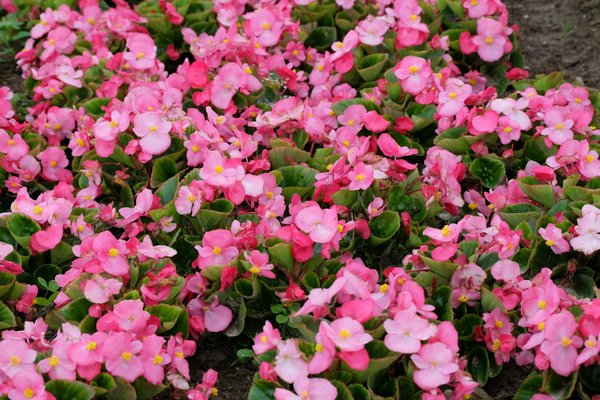 Réussir votre projet de rénovation d'appartement à paris