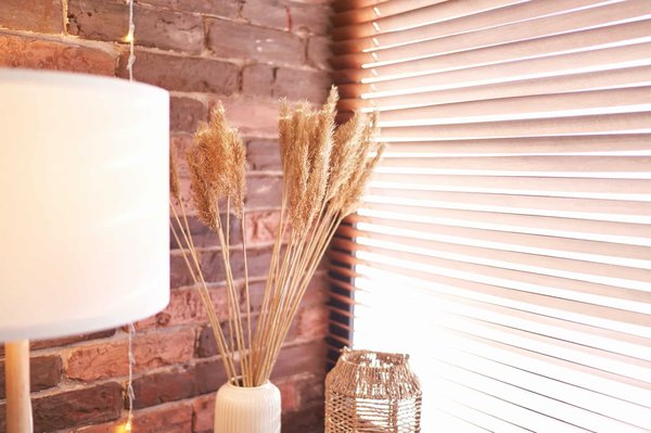 Capturer la splendeur de la fleur de la pampa